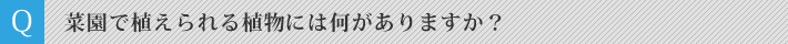 菜園で植えられる植物には何がありますか？