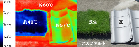 サーモグラフィーによる芝生と瓦、アスファルトの温度差計測